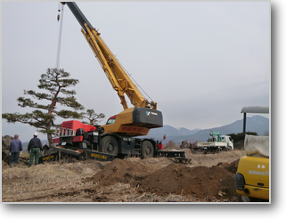 移植～クレーンで吊り上げ状況