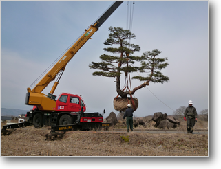 緊張の一瞬ですがなかなか圧巻です